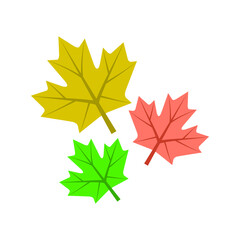 maple leaf vector in the autumn
