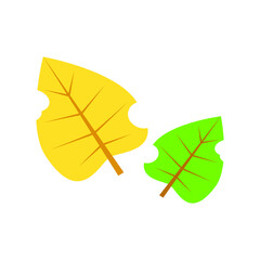 leaf vector, yellow and green leaf, autumn leaves