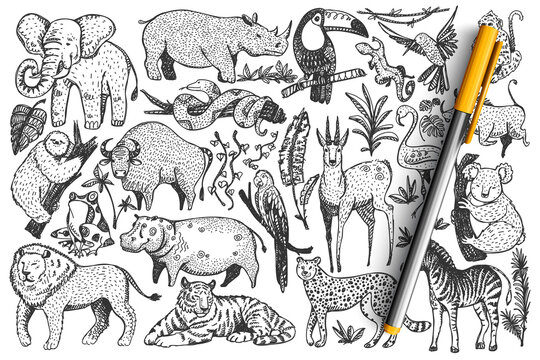 Animals doodle set. Collection of funny hand drawn cute wild african safari mammals isolated on white background. Illustration of leopard lion snakes monkey zebra giraffe elephant for kids.