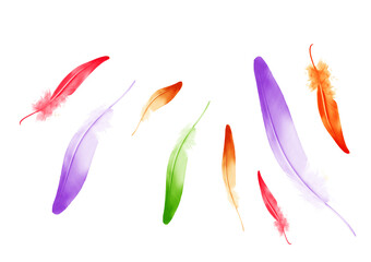 Beautiful color feathers isolated on white background