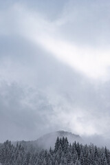 Winter view of mountains covered with snowy forest and fog. Mystical winter landscape