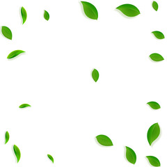 Falling green leaves. Fresh tea chaotic leaves fly