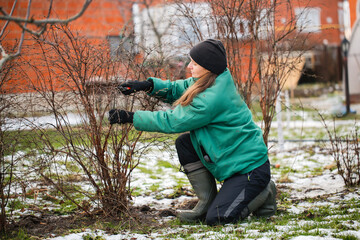 Caucasian cute woman gardener with garden tool close up, gardener pruning branches with pruning...