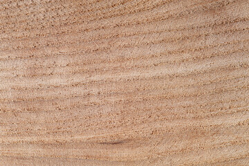 Fototapeta na wymiar wood texture beige background,wallpaper , horizontal, copy spase, no people, 