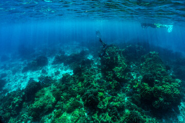 Fototapeta na wymiar underwater scene with coral reef and fish.