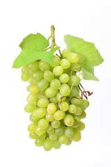 Bunch of grapes on a white background