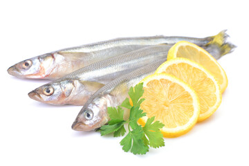 Smelt fish on white background
