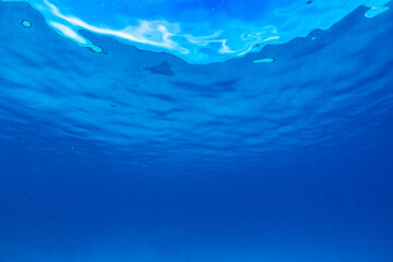 Obraz premium Hand holding a glass drinking wine on Sunset sea background.