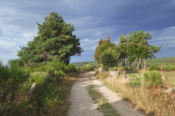 Sur le chemin de Compostelle, la traversée sur le chemin de la via Podiensis, les paysages du parc Régional de l'Aubrac dans le Massif Central.