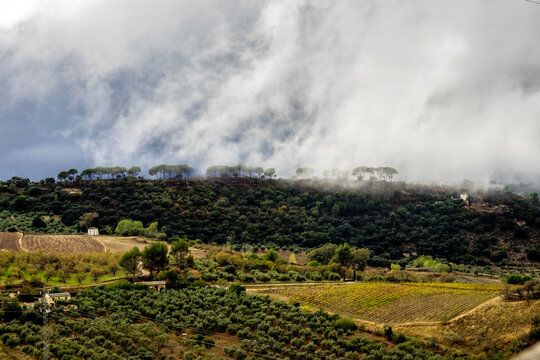Landscape of Sierra de Grazalema natural park, Cadiz province, Andalusia, Spain.