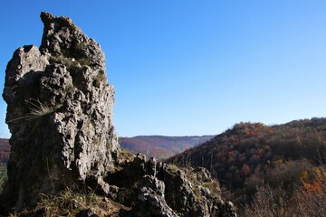 rocks in the forest