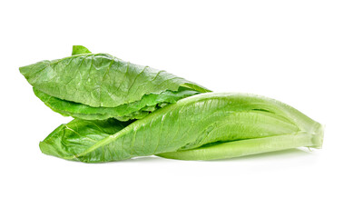 green cos lettuce isolate on white background