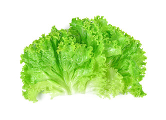 Salad leaf. Lettuce isolated on white background. Top view