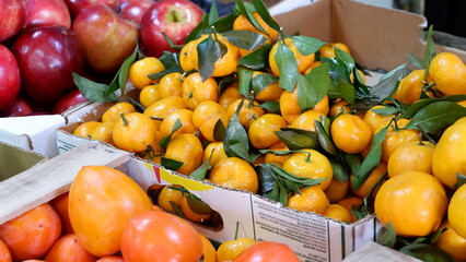 vegetables in the market