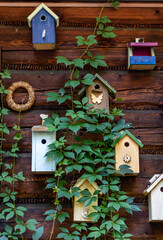 Old decorative bird feeders and wooden birdhouses