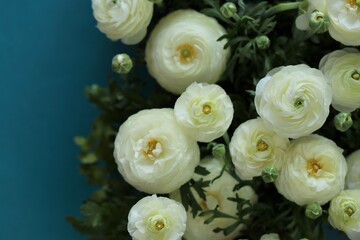White Ranunculus flower.buttercup flowers.White  ranunculus flowers  on a bright blue background.Floral card with spring flowers.Wedding day, mother's day and women's day.