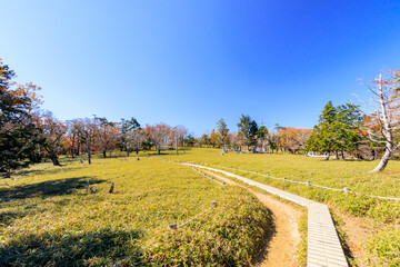 秋の牛石ヶ原　大台ケ原　奈良県　Autumn Ushiishigahara Oodaigahara Nara-ken