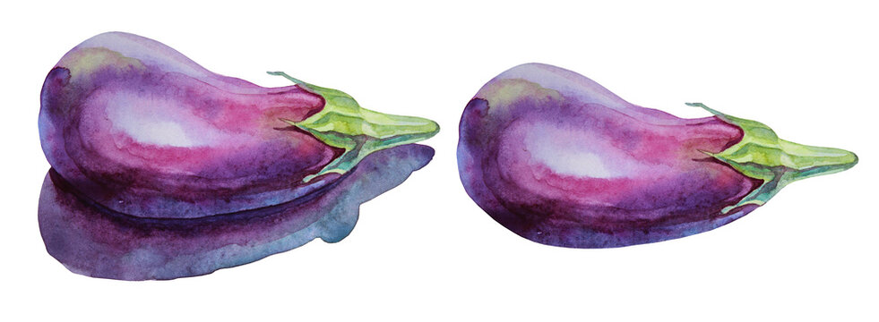 Watercolor purple vegetable eggplant aubergine isolated on white background. Art creative hand-drawn object for recipe, menu, sticker, wallpaper, wrapping