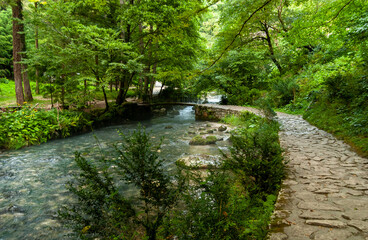 Fototapete bei efototapeten.de bestellen   