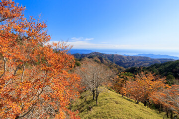 Fototapeta premium 秋の大台ヶ原 展望台から見た景色 奈良県 View from the Observatory .Oodaigahara Mt.Hidegadake Nara-ken
