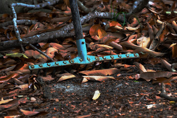 Old rake in leaves and branches in background