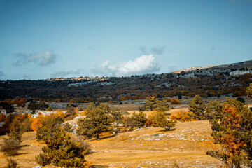 autumn in the village