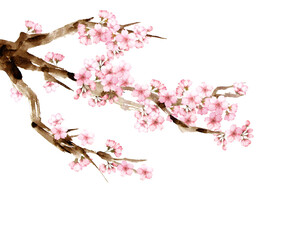 水彩の桜の木