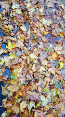 Straße des Alltages