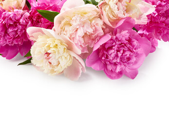 Bouquet of peony flowers over white background