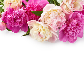 Bouquet of peony flowers over white background