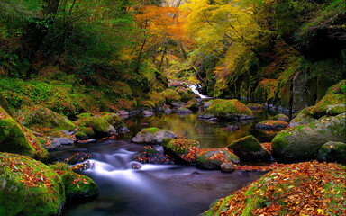 river in autumn