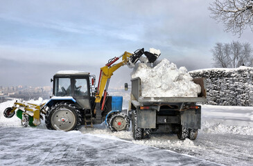cleaning and snow loading