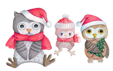 New Year Christmas illustration of 2 cute cartoon little owls, forest birds. Watercolor hand drawn artwork, isolated on white background.