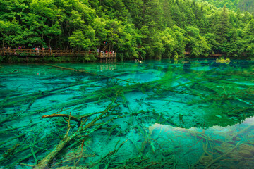 中国四川阿坝九寨沟风光