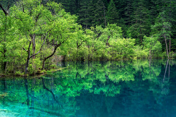 中国四川阿坝九寨沟风光