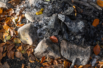 Burnt campfire in the forest