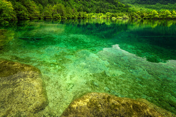 中国四川阿坝九寨沟风光