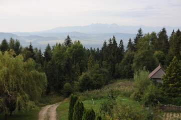 Panorama of mountains  and forested hills with grey sky and clouds in Europe
