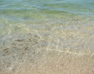 The beauty of the clear blue water of the Sivash coast, through the prism of which you can see the clean sandy bottom.