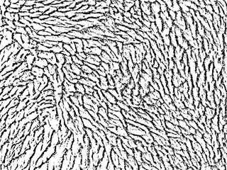 Texture of fur of wool. vector background illustration