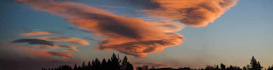 panoramic of sunset over forest