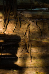 wood bark peeling from logs of old log cabin in sunlight with shadow on bottom left horizontal format