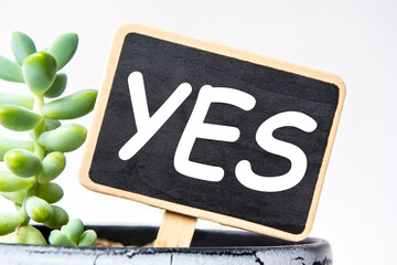 small black chalk board in a pot with succulents inscribed in white letters word yes. business...