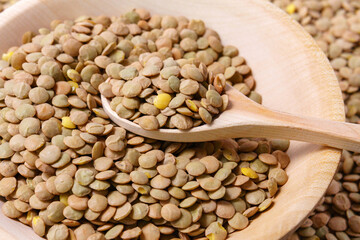 dry green lentils close up in spoons selective focus.