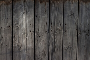 Grey shabby wooden wall surface texture with nails