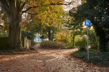 trees with colorful autumn leaves in a park in Westerstede, Germany