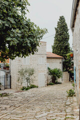 Fototapeta na wymiar Narrow and bumpy walkway in Croatia