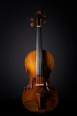 Fototapeta na wymiar Violine vor dem schwarzen Hintergrund