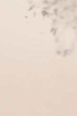 Tropical leaf shadow on beige background