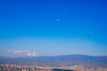 Hatay Seyirtepe -  From the hill bird's eye view and Watching birds in flight - Hatay Antakya Turkish 14.11.2020